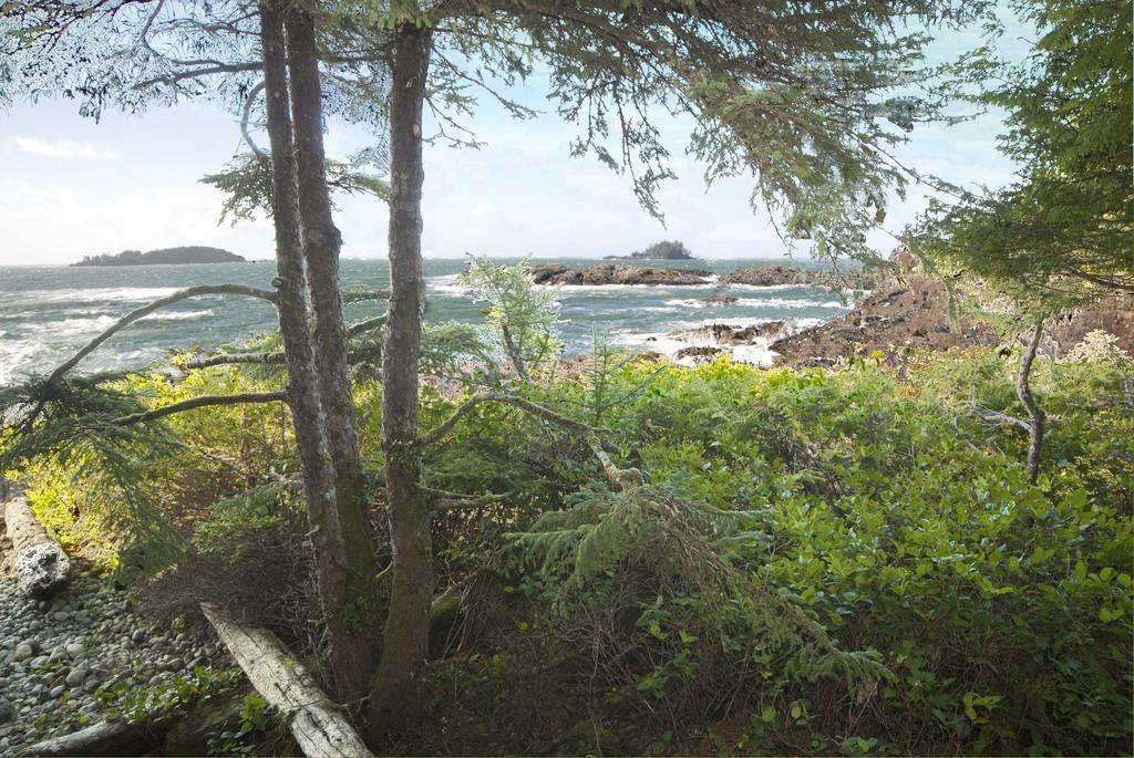 Wickaninnish Inn Tofino Phòng bức ảnh