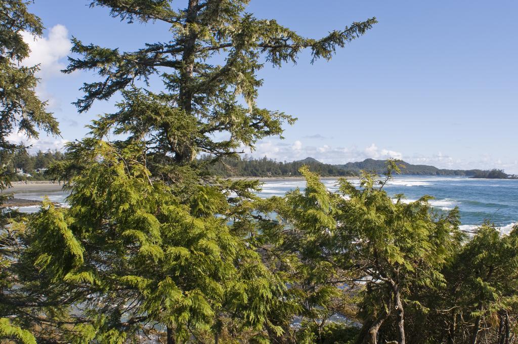 Wickaninnish Inn Tofino Phòng bức ảnh